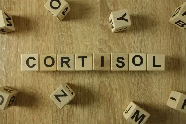 The Hidden Connection: How Stress Shapes Your Fitness and Body Composition 2 Image saying "Cortisol" and how stress Herne Bay impacts your wellbeing and bodies shape